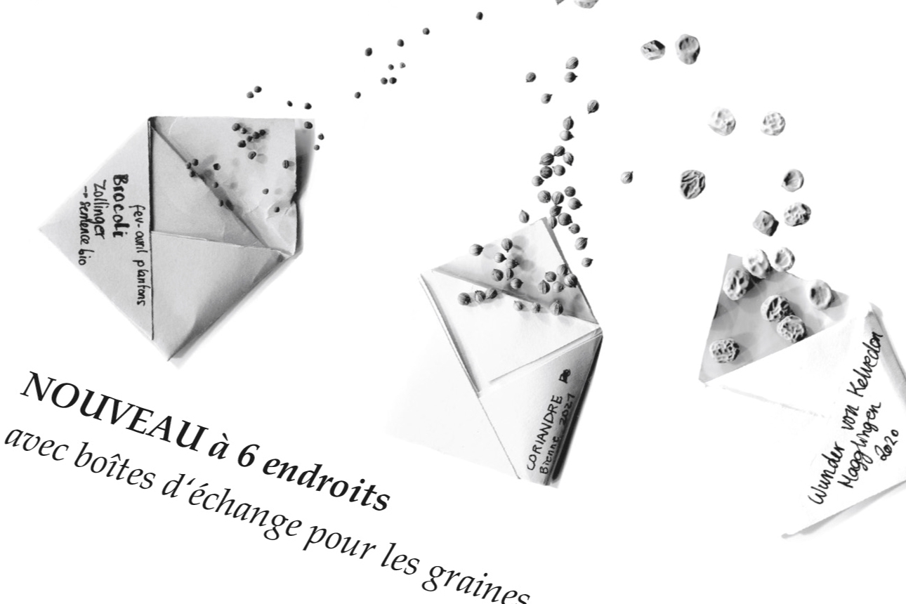 bourse aux graines image3